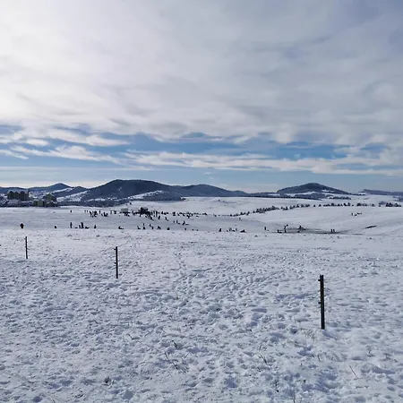 Zlatiborski Konaci K16a10