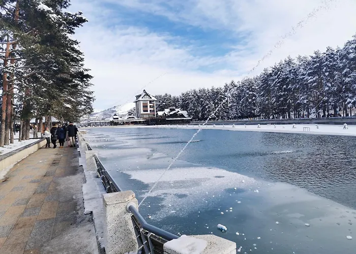 Zlatiborski Konaci K16a10